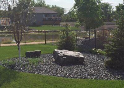 Yard Feature Area with Trees